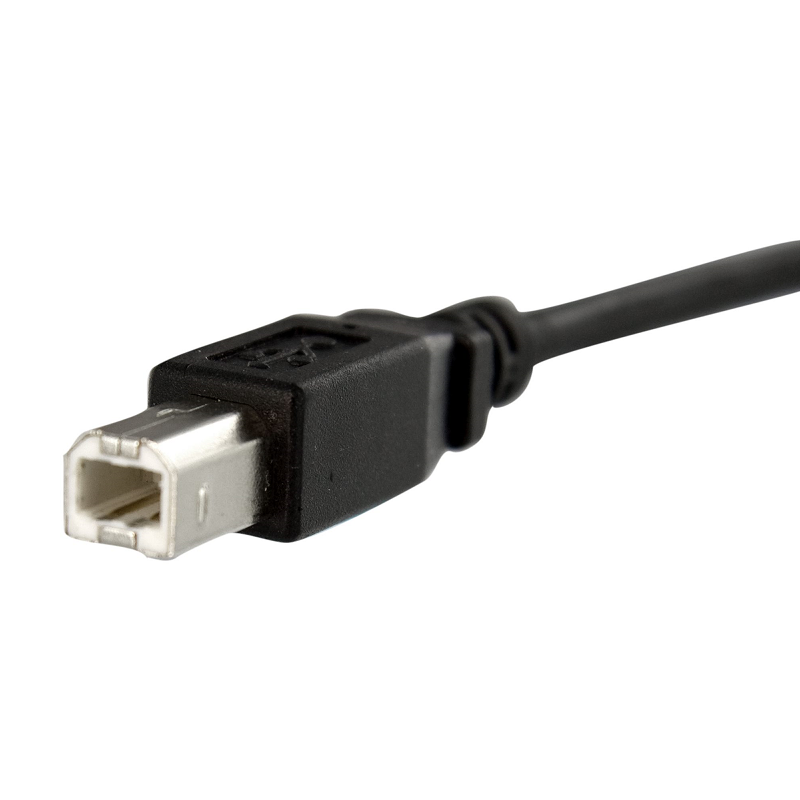 StarTech USBPNLBFBM1 1 ft Panel Mount USB Cable B to B - F/M